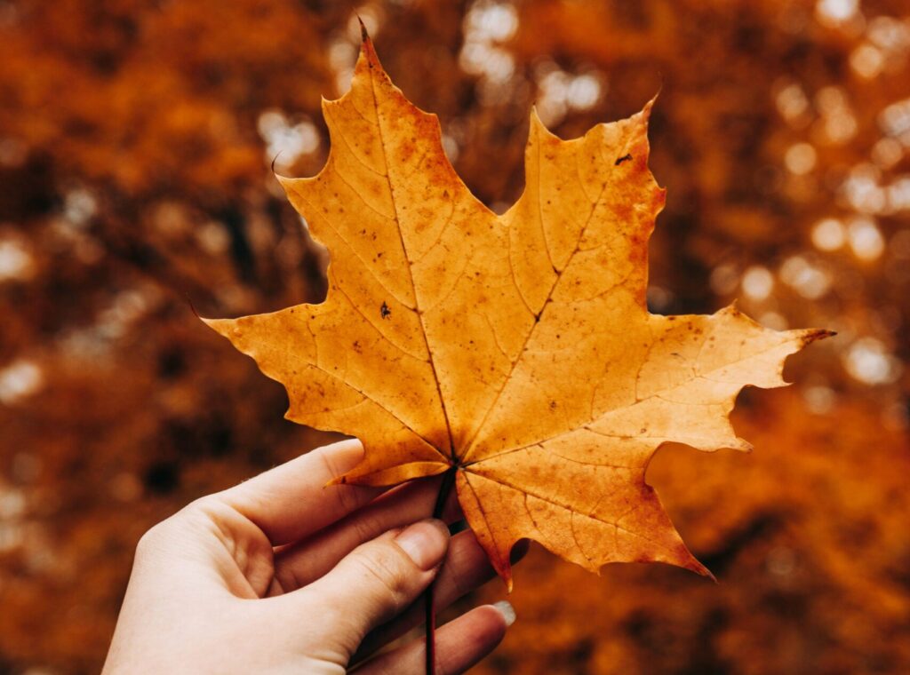 You’re Not Just Tired. You Might Be Emotionally Burned Out.